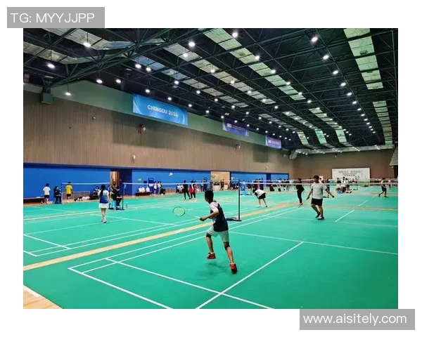 深入分析成都羽毛球队防守战术的独特魅力与实战应用