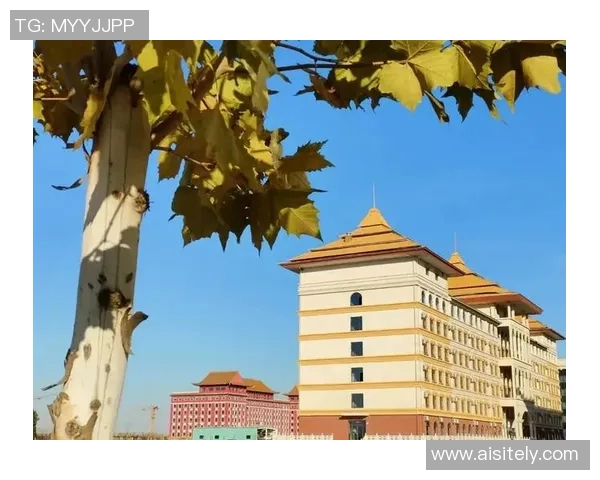 武汉羽毛球队的崛起之路：从默默无闻到世界杯舞台的辉煌历程