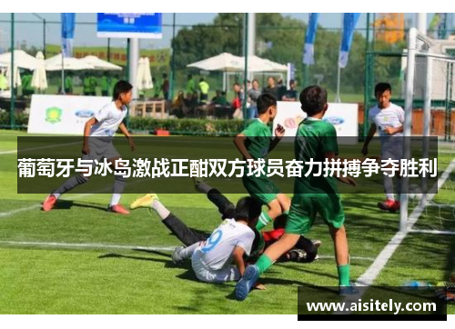 葡萄牙与冰岛激战正酣双方球员奋力拼搏争夺胜利